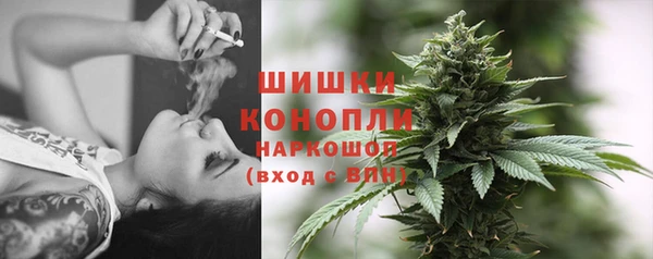 бошки Богданович