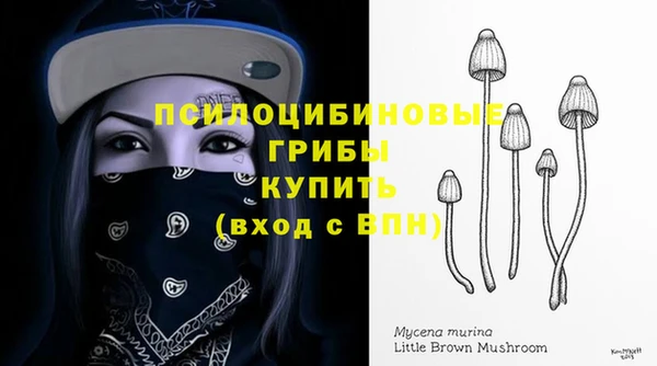 прущая мука Белокуриха