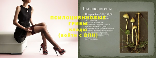 бошки Богданович