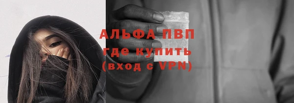 спиды Богородск