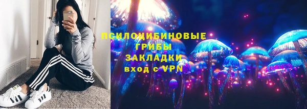 синтетический гашиш Богородицк