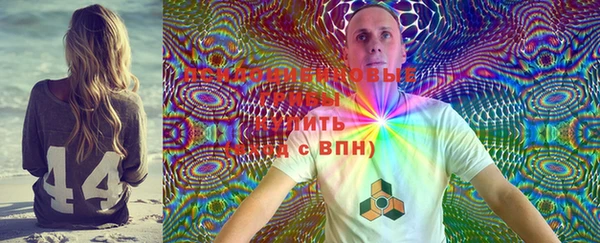 винт Анжеро-Судженск