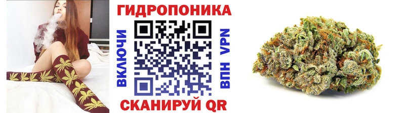 МАРИХУАНА гибрид Борзя